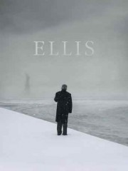 Ellis-2015-tainies-online-gamato