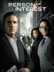 Person-of-Interest-2011-seira-online