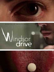 Windsor-Drive-2015-tainies-online