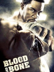 Blood-and-Bone-2009-tainies-online-greek-subs
