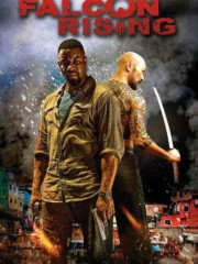 Falcon-Rising-2014-tainies-online-greek-subs