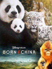 Born-in-China-2017-tainies-online-full