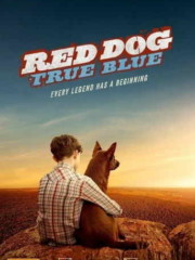 Red-Dog-True-Blue-2016-tainies-online-full