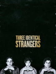 Three-Identical-Strangers-2018-greek-subs-online-gamato-full