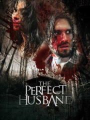 The-Perfect-Husband-2014-greek-subs-online-gamatomovies