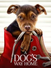 A-Dogs-Way-Home-2019-greek-subs-online-gamatomovies
