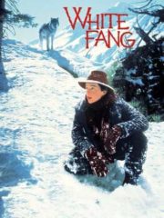 White-Fang-1991-greek-subs-online-gamato-full