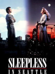 Sleepless-in-Seattle-1993-greek-subs-online-gamatomovies