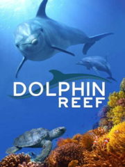 Dolphin-Reef-2018-greek-subs-online-gamatomovie