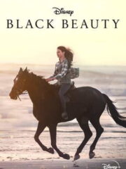 Black-Beauty-2020-greek-subs-online-gamato