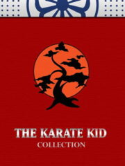 The-Karate-Kid-Collectionsilogi-oles-i-tainies.jpg