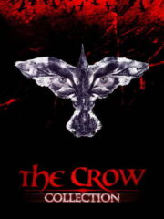 The-Crow-Collection-silogi-oles-i-tainies