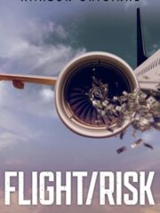 Flight-Risk-2022-greek-subs-online-gamato