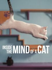 Inside-the-Mind-of-a-Cat-2022-greek-subs-online-gamato