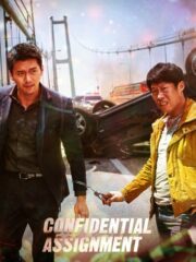 Confidential-Assignment-2017-greek-subs-online-gamato