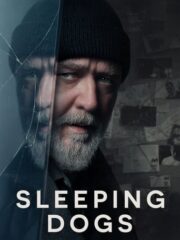 Sleeping-Dogs-2024-greek-subs-online