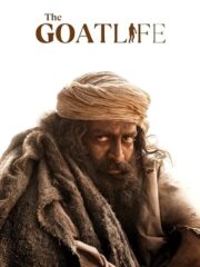 Aadujeevitham-The-Goat-Life-2024-greek-subs-online